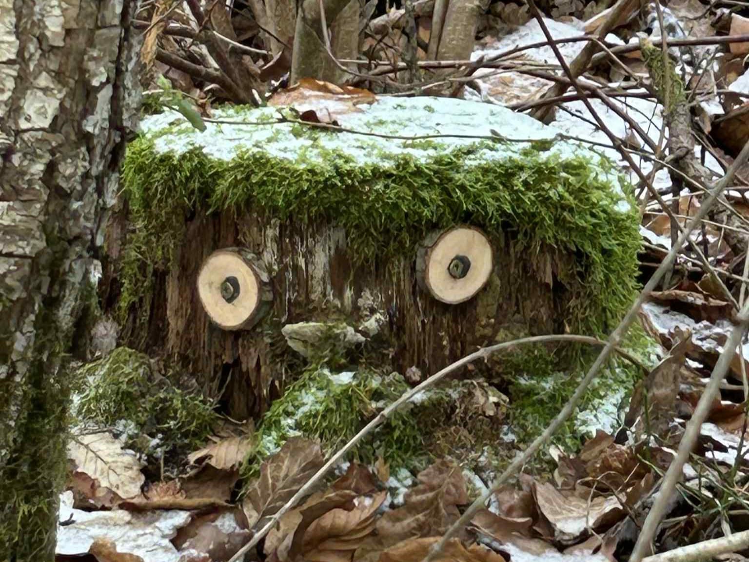 Eventyrstien, mosegrodd stubbe med øyne