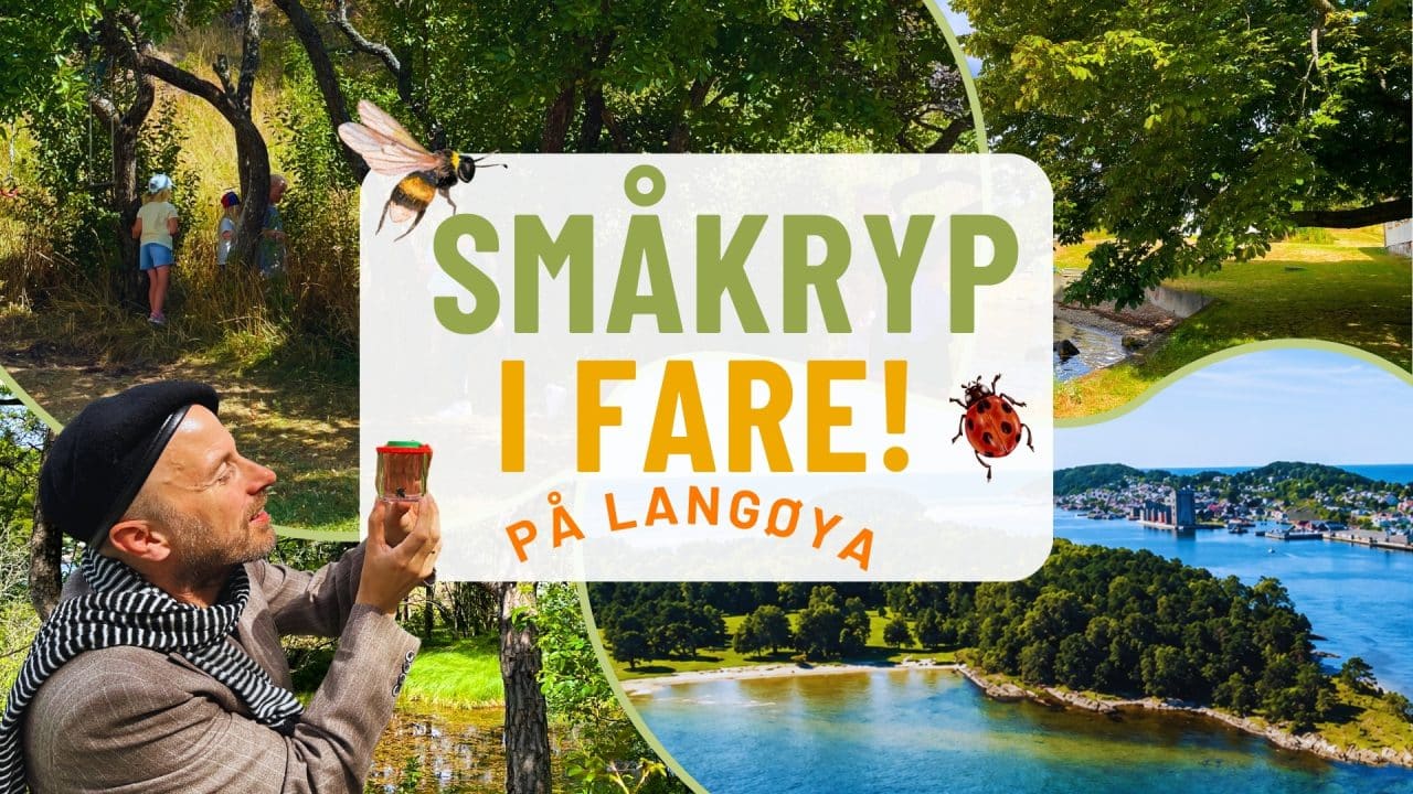 Småkryp i fare på Langøya