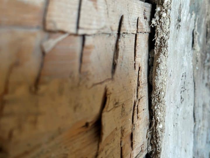 rappekurs på Henrik Ibsen museum. Bildet viser en gammel vegg