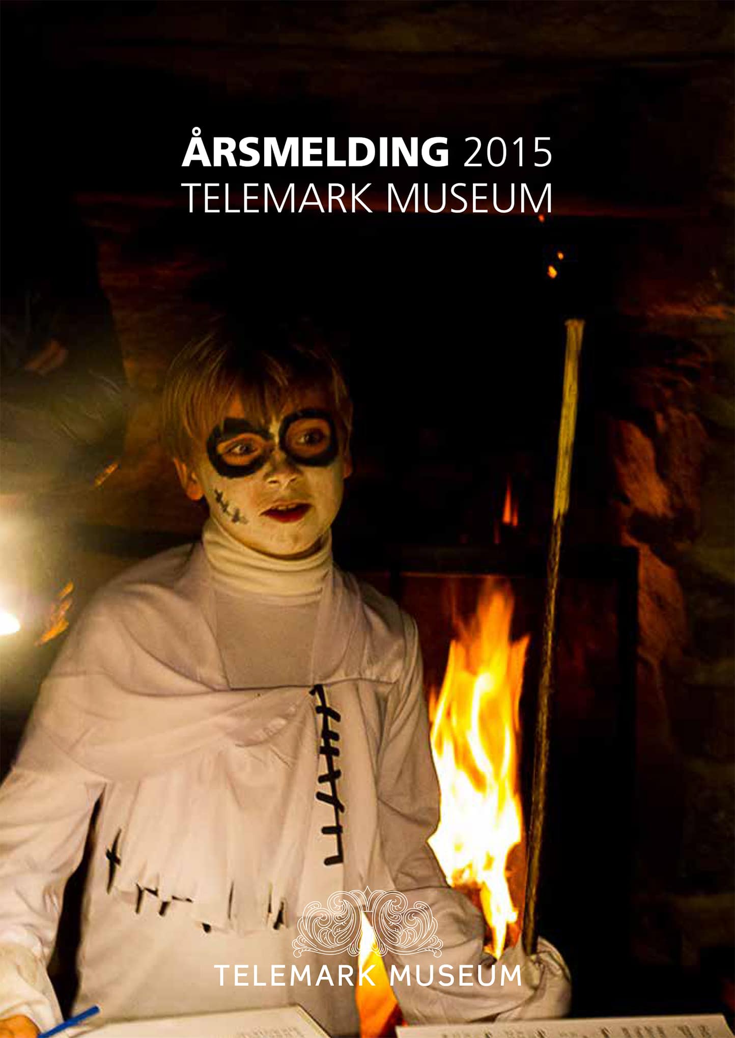 Telemark Museum Årsmelding 2015